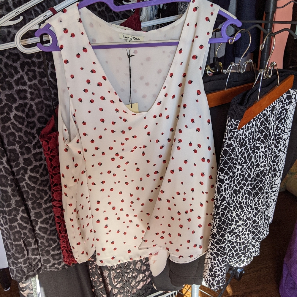 Ladybug top